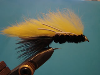 Amarilla Mancini Streamer (6)